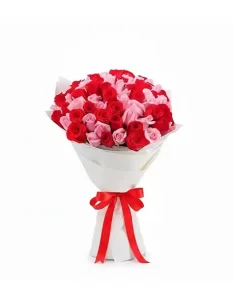 rosas en sjl x75