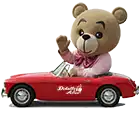 osito en carro