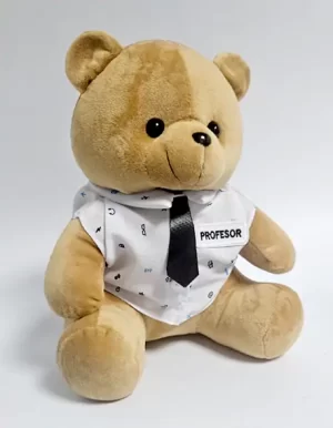 oso profesor 24 cm